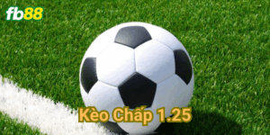 kèo chấp 1.25 Fb88
