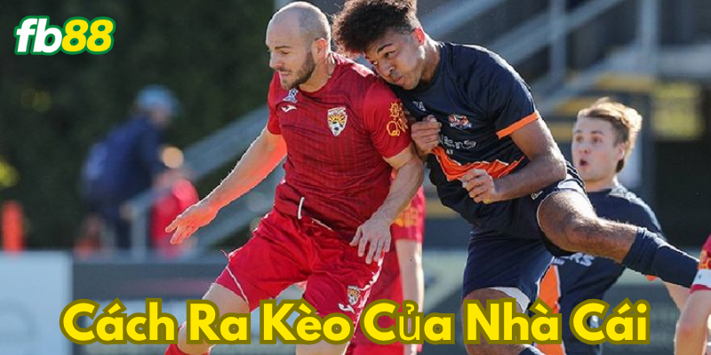 Kèo nhà cái được hiểu ra sao?