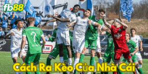 Nhiều thể loại kèo cược trong bóng đá