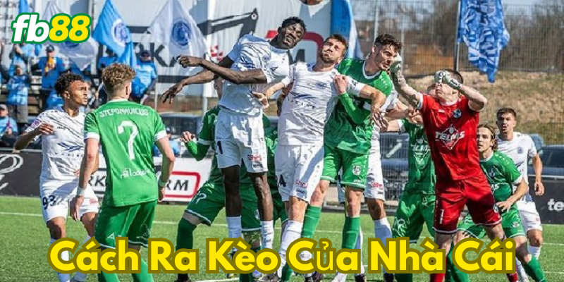 Nhiều thể loại kèo cược trong bóng đá