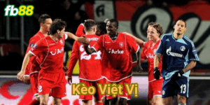 Tìm hiểu các yếu tố vàng